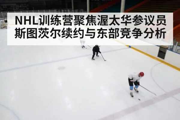 NHL训练营聚焦渥太华参议员斯图茨尔续约与东部竞争分析