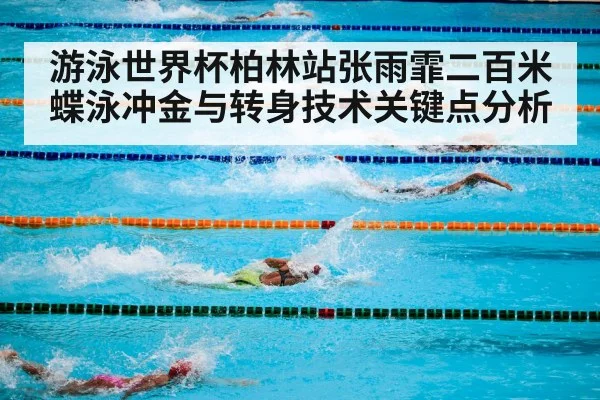 competitive swimming pool