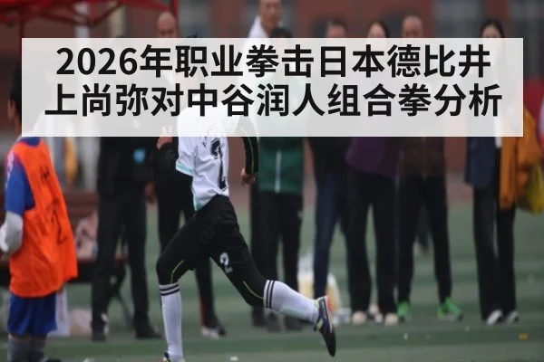 2026年职业拳击日本德比井上尚弥对中谷润人组合拳分析